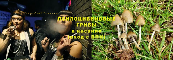 mdpv Орехово-Зуево