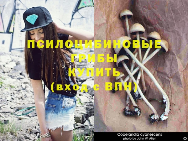 амф Краснотурьинск