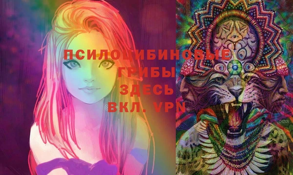 MDMA Краснослободск